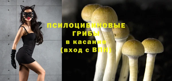 mdpv Протвино