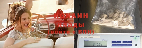 ГАЛЛЮЦИНОГЕННЫЕ ГРИБЫ Бородино